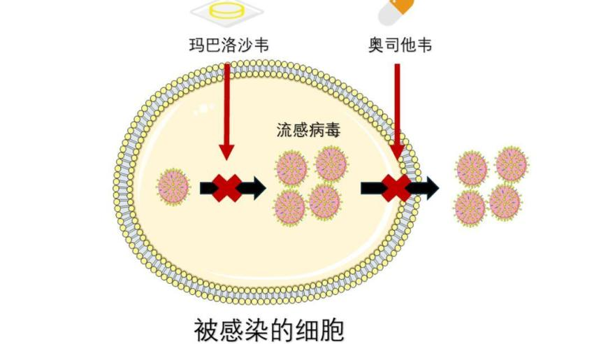 黄旭华87岁时的愿望,2025澳门特马今晚开奖现场实况资料,广泛的解释落实支持计划_标清版V15.90