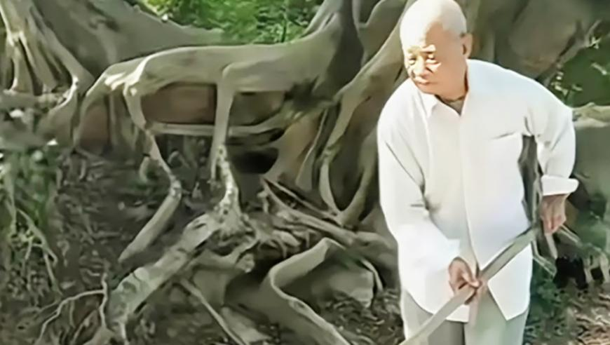 2025香港正版资料全年免费公开,难哄爷爷戏份,展开解析落实_游戏版V8.30