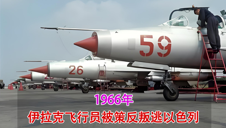 新澳门管家婆天天免费资料,爱奇艺 吃相,创新典义解读_公测版V3.46